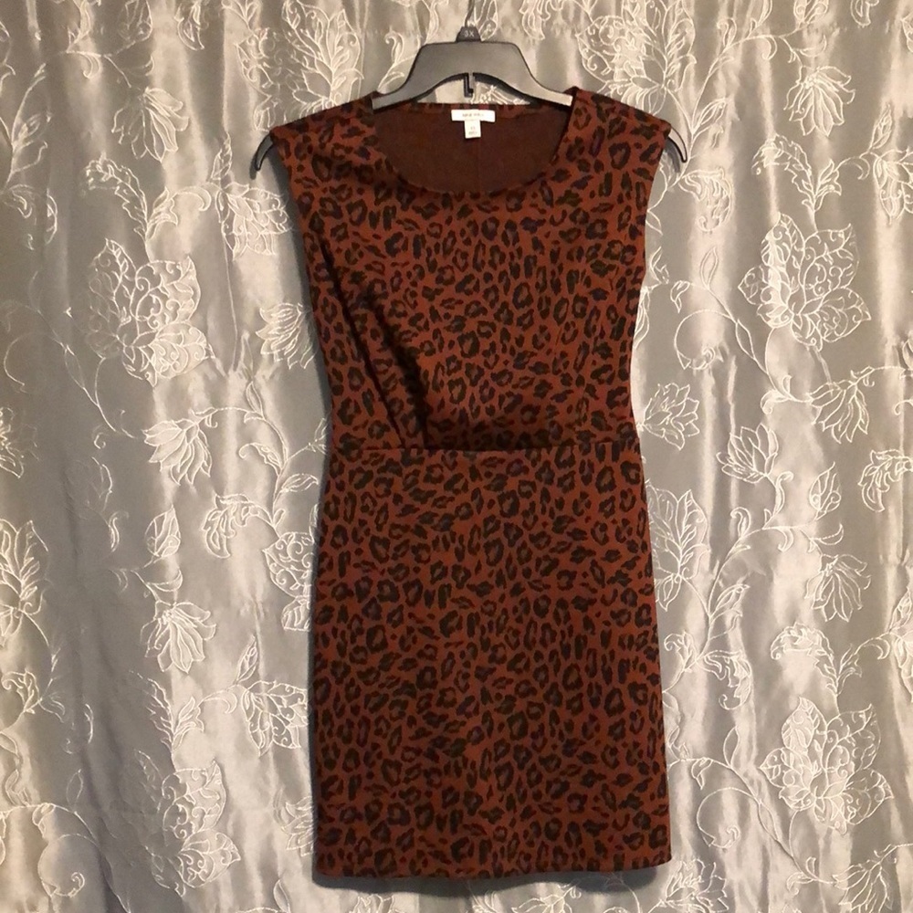 Animal print dress new